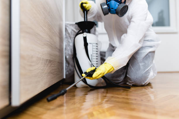 Best Wasp Removal Services  in Clinton, AR
