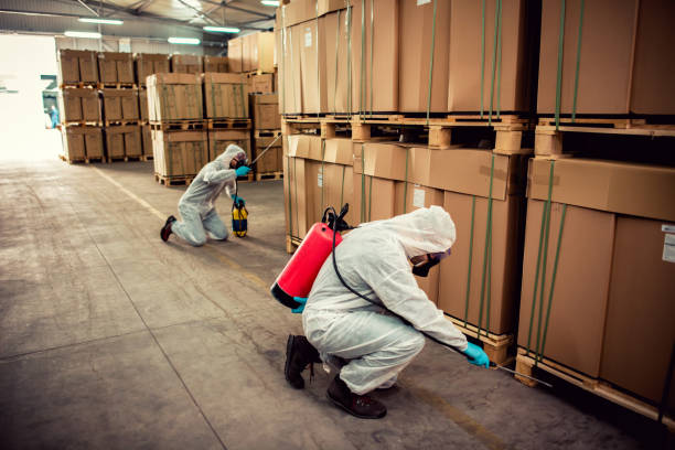 Best Local Pest Control Services  in Clinton, AR
