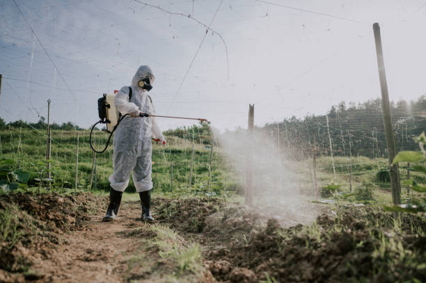 Best Ant Control Services  in Clinton, AR
