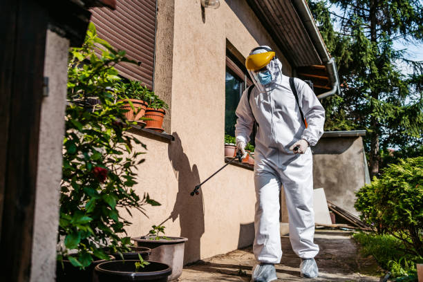Pest Prevention Services in Clinton, AR