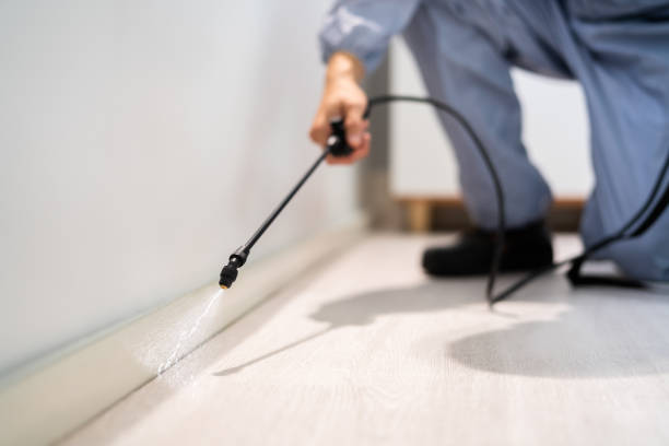 Best Emergency Pest Control  in Clinton, AR