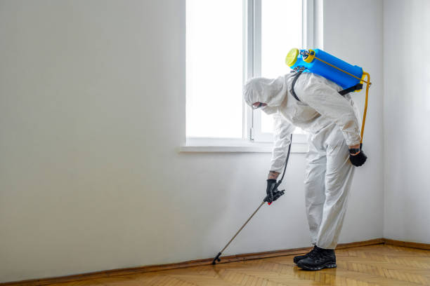 Best Cockroach Control Services  in Clinton, AR