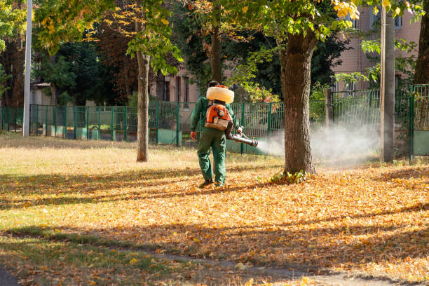 Best Affordable Pest Control Services  in Clinton, AR