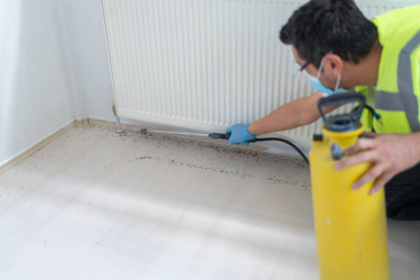 Best Pest Removal Services  in Clinton, AR